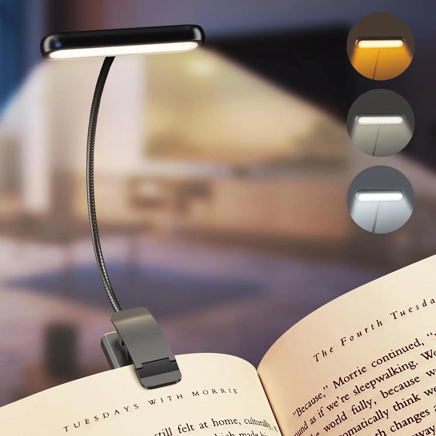 USB Rechargeable Reading