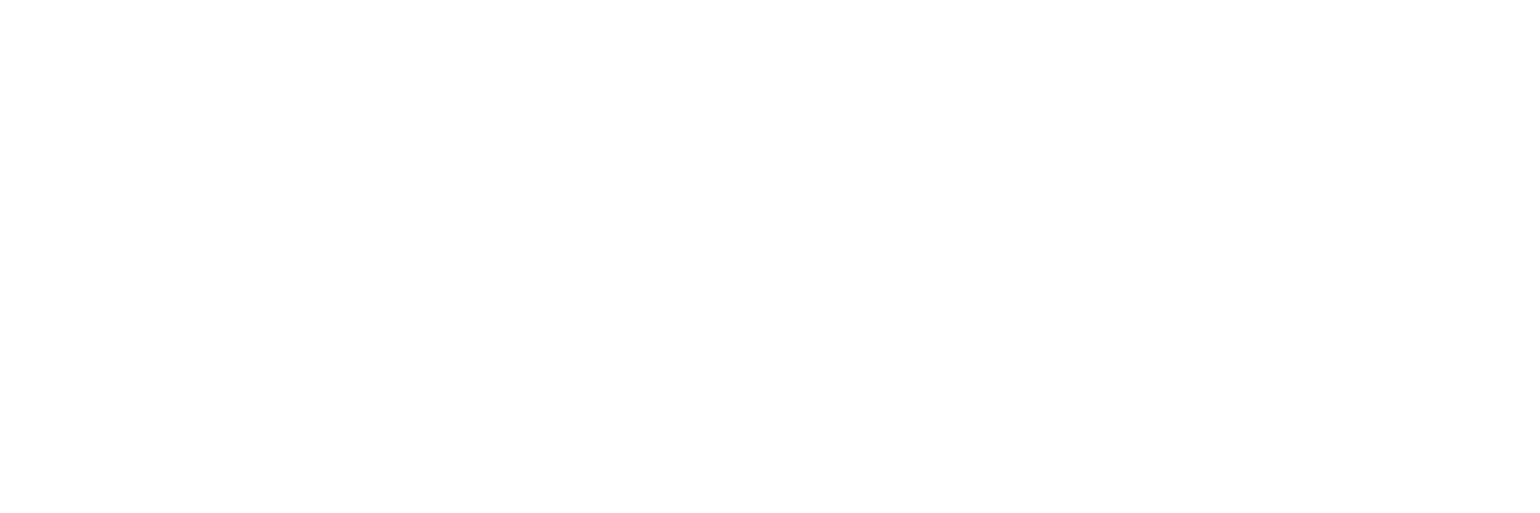 MAHE VITAZ